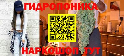 стаф Камышлов