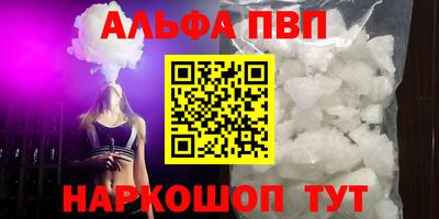 стаф Камышлов