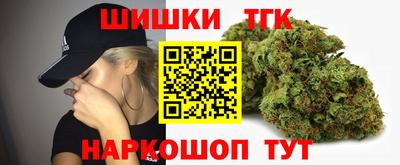 стаф Камышлов