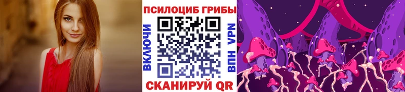 Псилоцибиновые грибы Cubensis  мориарти Telegram  Строитель  блэк спрут ТОР 