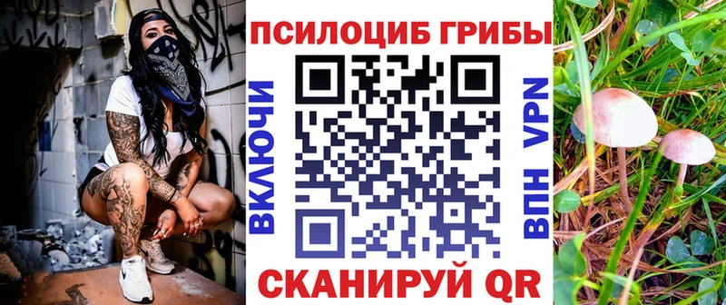 Псилоцибиновые грибы Magic Shrooms Строитель