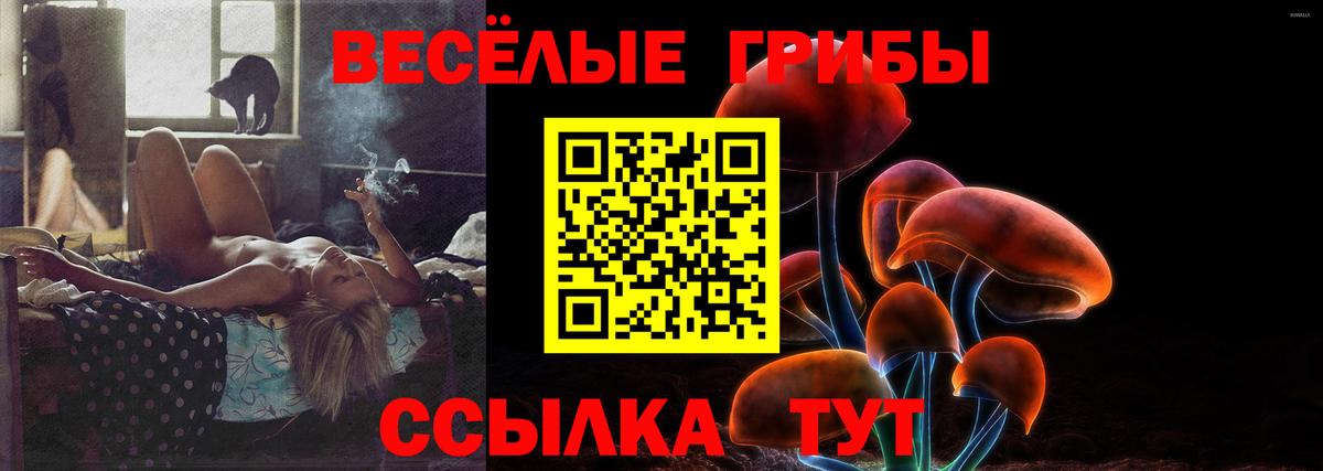 Строитель  Галлюциногенные грибы ЛСД  Вход с VPN 