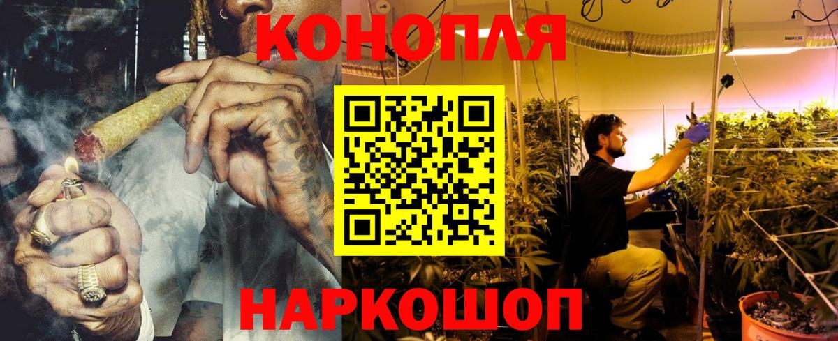 Бошки Шишки конопля Строитель